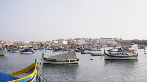 Stagnant Fishing Fleet Boats Docked Marxaslook Malta — Stok video