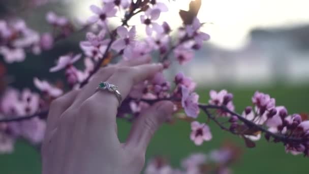 Άντρας Πήρε Ρομαντικά Χέρι Της Γυναίκας Κοντά Στα Λουλούδια — Αρχείο Βίντεο