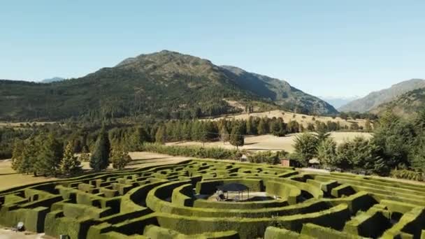 Aerial Dolly Laberinto Patagonia Hedge Maze Valley Pine Forest Andean — Stock videók