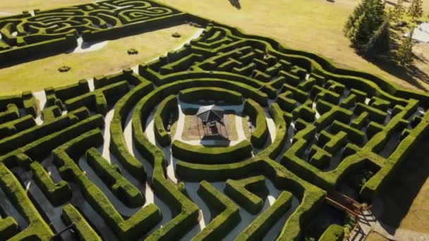 Aerial Orbit Laberinto Patagonia Intricate Hedge Maze Hoyo Valley Surrounded — Stockvideo