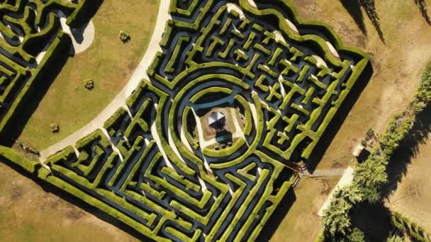 Aerial Top Rising Laberinto Patagonia Enigmatic Hedge Maze Green Valley — Stock Video