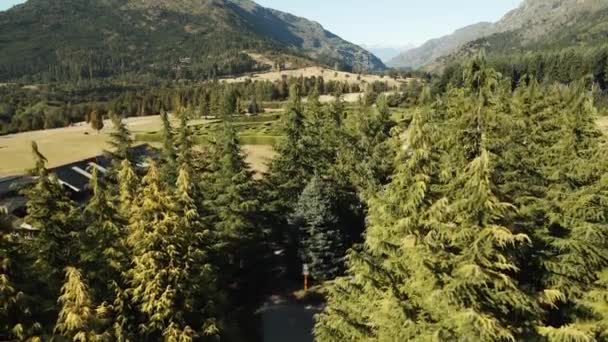 Aerial Rising Laberinto Patagonia Hedge Maze Entry Surrounded Pine Tree — Video Stock