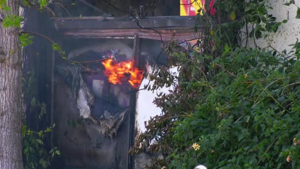 Tuyau Incendie Pulvérisation Eau Sur Une Fenêtre Dans Bâtiment Flammes — Video