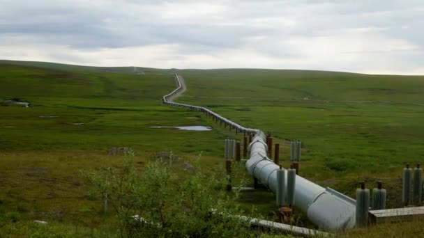Транс Аляска Система Трубопроводів Нафтотранспортна Труба Хмарний Літній День Алясці — стокове відео