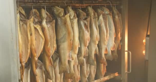 View Fishes Hanging Hooks While Preparing Smoked Fish Smokehouse Tasty — Stock videók