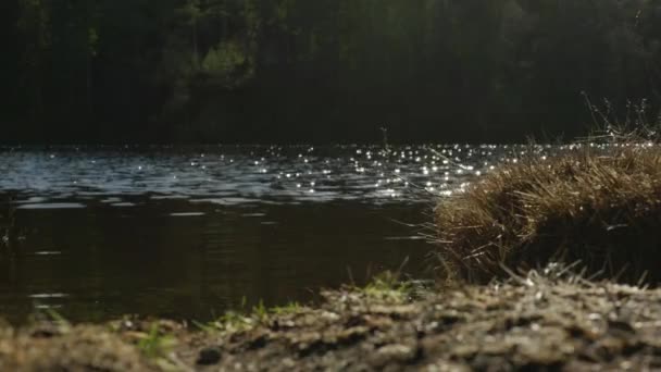 Światło Uderza Odbija Się Powierzchni Jeziora Słodkowodnego Szkocji Gdy Fale — Wideo stockowe