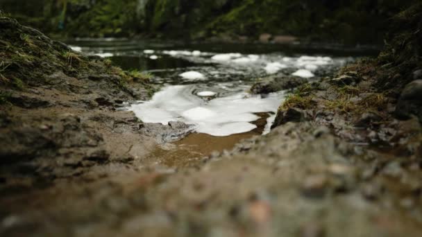 苏格兰北部伊斯克河的水面上漂浮着泡沫和气泡 这些泡沫和气泡缓缓地拍打在泥泞的河岸边缘 而一条湍急的河流从背后流过 — 图库视频影像