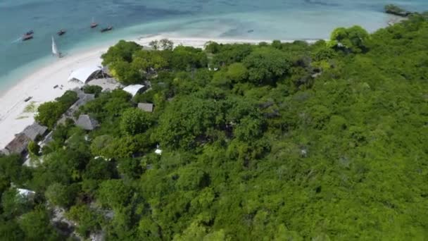 Fishing Village Bungalows Rainforest Tropical Coast Zanzibar — Video Stock