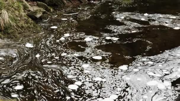 Rodar Bolhas Espuma Branca Flutuar Lentamente Superfície Água Plana Rio — Vídeo de Stock