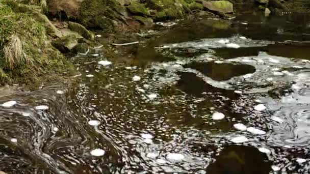 Time Lapse Swirling Bubbles White Foam Drifting Floating Surface Water — Stock Video