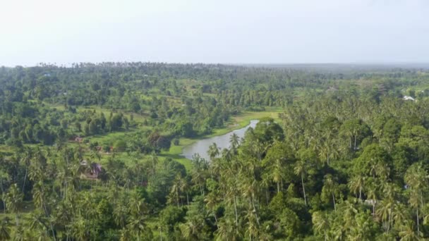 Small Lake Lush Palm Paradise Exotic Zanzibar Jungle Drone Shot — Wideo stockowe