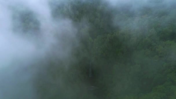 Aerial Drone View Revealing Sao Nicolau Falls Foggy Sao Tome — ストック動画