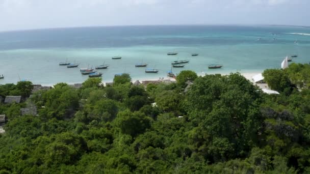 Barcos Ancorados Costa Zanzibar Com Exuberante Floresta Tropical Tiro Drone — Vídeo de Stock