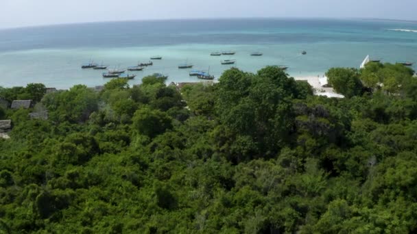 Anchored Fishing Boats Tropical Beach Rainforest Drone Shot — Stock Video