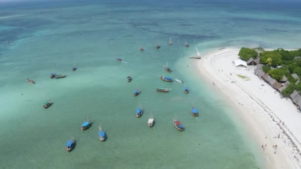 Frota Barcos Pesca Ancorada Pela Praia Tropical Areia Branca Zanzibar — Vídeo de Stock