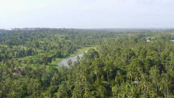 热带雨林的湖泊和平房 桑给巴尔 无人驾驶飞机发射 — 图库视频影像