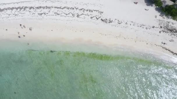 Praia Areia Branca Ilha Tropical Zanzibar Tiro Drone Aéreo — Vídeo de Stock