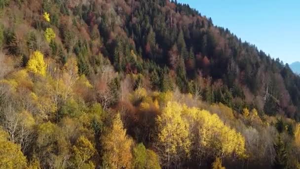 Drone Shot Movendo Para Frente Colorido Outono Montanha Lado Coberto — Vídeo de Stock