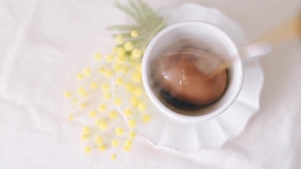 Top View Hot Coffee Poured Brown Painted Easter Egg White — Wideo stockowe