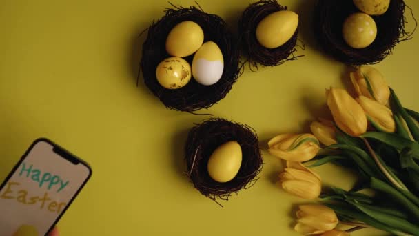 Paskalya Tavuğundan Bıldırcın Yumurtalarından Muhteşem Kompozisyon Kırmızı Bir Çerçeve Yuvarlak — Stok video