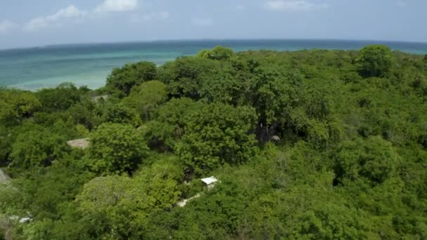 Baobab Baum Küstennahen Regenwald Mit Fischerdorf Auf Der Insel Kwale — Stockvideo