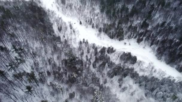 Snow Covered Frozen River Fly Dense Forest Heavy Snow Cover — Video Stock