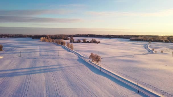 Sunny Winter Morning Fresh Snow Covered Fields Aerial Drone View — Stock videók