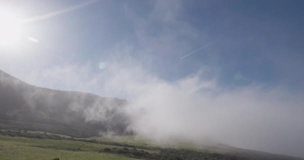 Brouillard Attarde Sur Champ Matin — Video