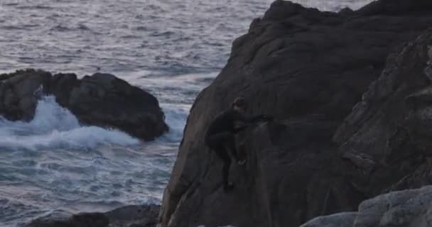 Dospělý Samec Vylézá Útes Útes Vyskočí Oceánu Při Západu Slunce — Stock video