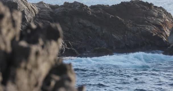 Las Violentas Olas Oceánicas Chocan Contra Rocas Acantilados Costeros Disparo — Vídeo de stock