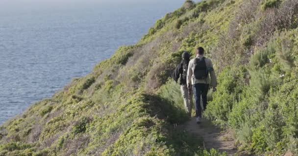 Groupe Jeunes Hommes Adultes Explorent Les Champs Côtiers Californie Tourné — Video