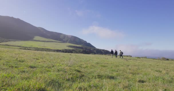 Groupe Jeunes Hommes Adultes Explorent Les Champs Côtiers Californie Tourné — Video