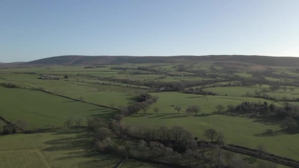 Aerial Autumn Trees Line Twisty Road Green English Countryside — ストック動画