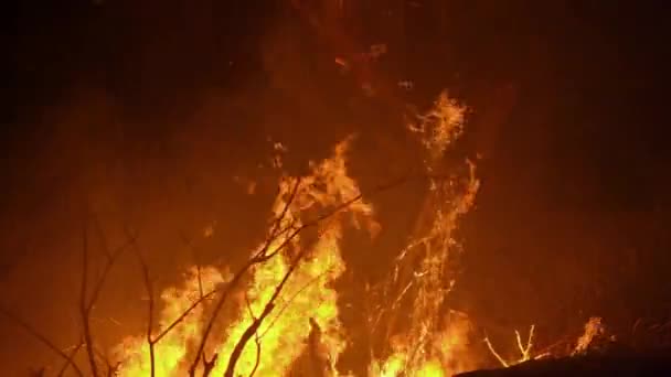 Wildland fires raging, close up of flaming branches and hay in the darkness