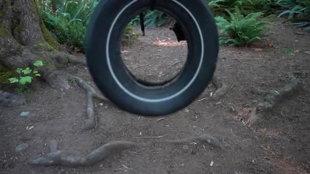 Tire Swing Swinging Back Forth — Wideo stockowe