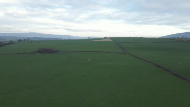 Aerial Flyover Χωρισμένο Πράσινο Γρασίδι Βοσκότοπο Στην Αγγλική Ύπαιθρο — Αρχείο Βίντεο