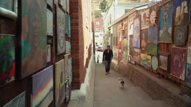 游客和他的狗走在比斯比大街的百老汇楼梯上 一个弹出艺术画廊 — 图库视频影像