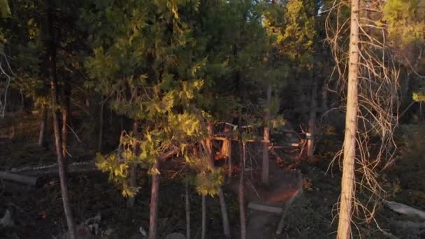 Treehouse Sierra Mountains Fresno California Drone — Stok video