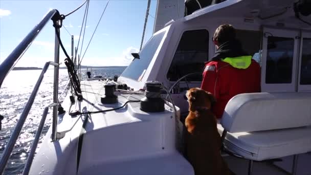 Caucasian Man His Dog Sit Helm Catamaran Navigating Waters San — Vídeos de Stock