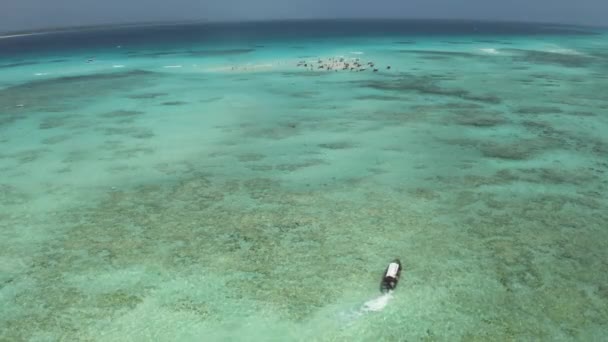 Tourist Dhow Cruising Tropical Ocean Waters Sandbank Islet — Stock videók