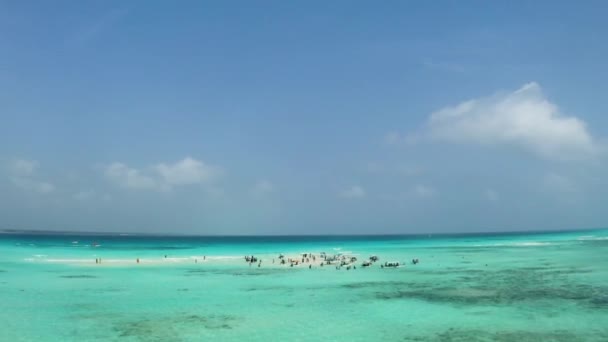 Ukotvené Lodě Lidé Mělkém Tropickém Písčitém Břehu Oceánu Zanzibar — Stock video