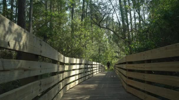 Lake Louisa State Park Clermont Florida Walking Bridge Marsh Trail — стокове відео