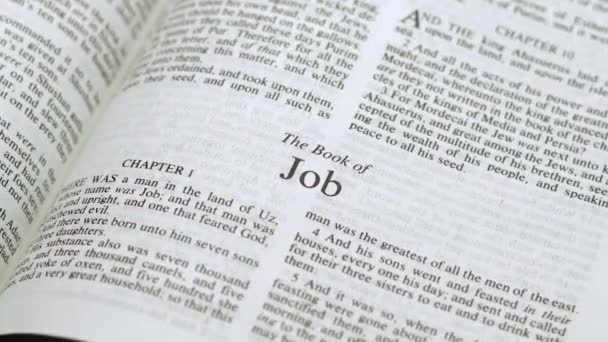 Primer Plano Página Bíblica Pasando Libro Job — Vídeos de Stock