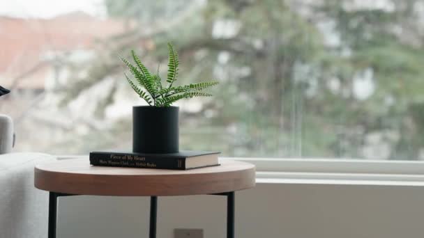 Маленька Зелена Рослина Сидить Книзі Бічному Столі Поруч Великим Вікном — стокове відео