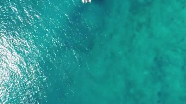 Widok Lotu Ptaka Samotnej Białej Katamaranki Żaglówka Pływająca Wzdłuż Spokojnej — Wideo stockowe