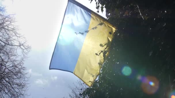 Ucrânia Nação Caída Enfrentando Bandeira Invasão Russa — Vídeo de Stock