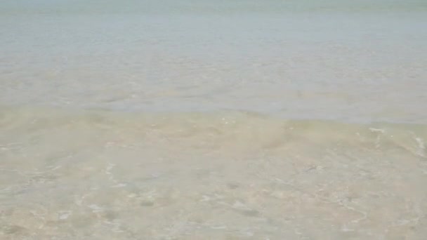 夏時間の白い砂浜の穏やかな海からの波の表面の質感 夏休みの自然 — ストック動画