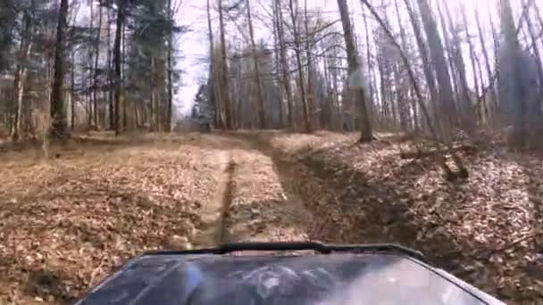 Road Jeeps Driving Stunning Forest Mud Leafs Dirty Road Gopro — Video