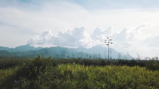 Cielo Nublado Ensueño Zona Montaña Campos Hierba Árboles Mientras Viaja — Vídeos de Stock