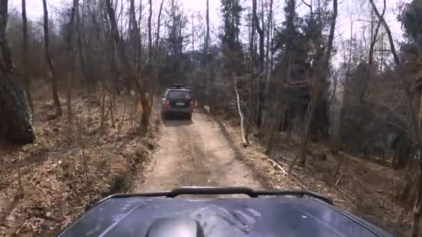 Mitshubishi Pajero Road Ride Muddy Stunning Forest Gopro Вікна Вид — стокове відео